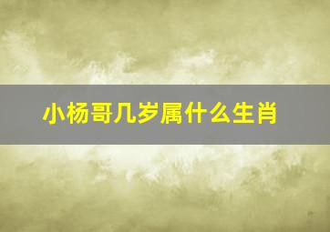 小杨哥几岁属什么生肖