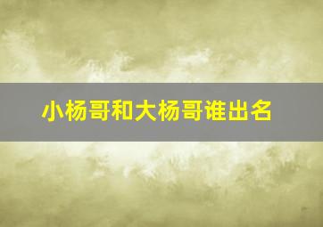 小杨哥和大杨哥谁出名