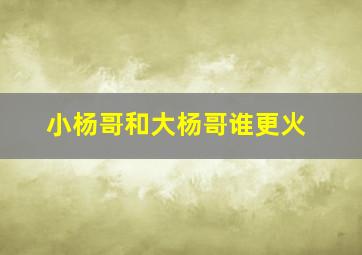 小杨哥和大杨哥谁更火