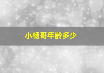 小杨哥年龄多少