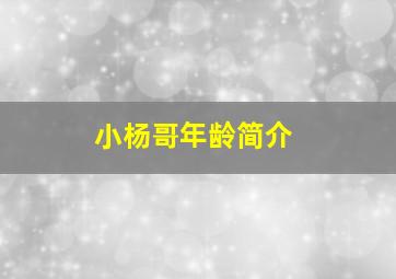 小杨哥年龄简介