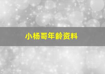 小杨哥年龄资料