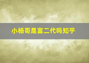 小杨哥是富二代吗知乎