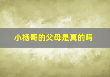 小杨哥的父母是真的吗