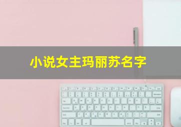 小说女主玛丽苏名字