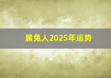 属兔人2025年运势