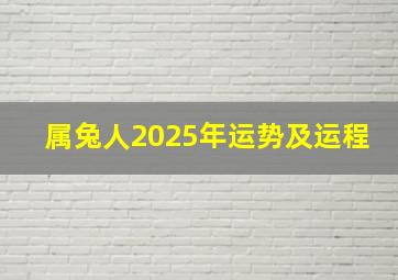 属兔人2025年运势及运程