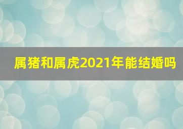 属猪和属虎2021年能结婚吗