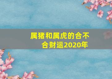 属猪和属虎的合不合财运2020年