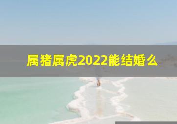 属猪属虎2022能结婚么