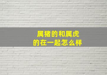 属猪的和属虎的在一起怎么样