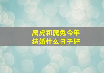 属虎和属兔今年结婚什么日子好