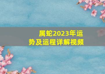 属蛇2023年运势及运程详解视频