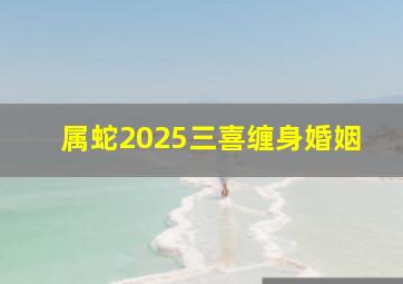 属蛇2025三喜缠身婚姻