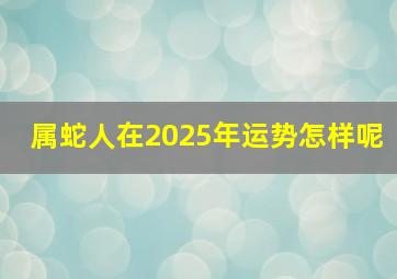 属蛇人在2025年运势怎样呢