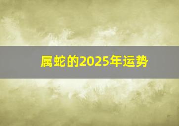 属蛇的2025年运势