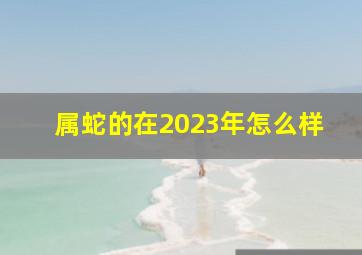 属蛇的在2023年怎么样