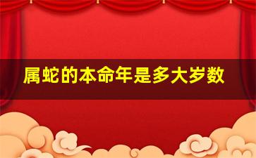 属蛇的本命年是多大岁数