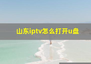 山东iptv怎么打开u盘