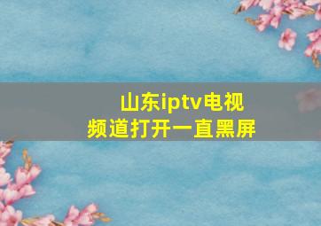 山东iptv电视频道打开一直黑屏