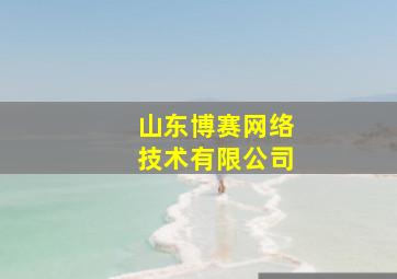 山东博赛网络技术有限公司