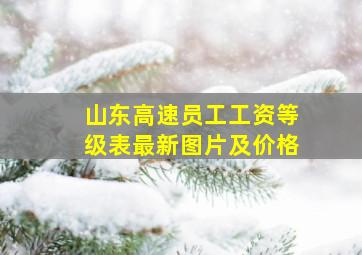 山东高速员工工资等级表最新图片及价格