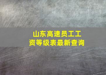 山东高速员工工资等级表最新查询