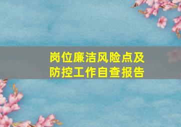 岗位廉洁风险点及防控工作自查报告