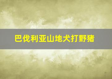 巴伐利亚山地犬打野猪