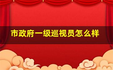 市政府一级巡视员怎么样