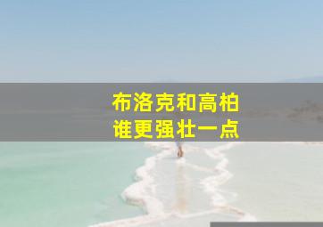 布洛克和高柏谁更强壮一点