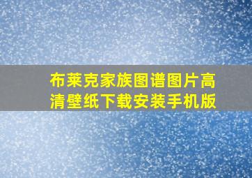 布莱克家族图谱图片高清壁纸下载安装手机版