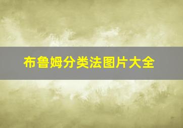 布鲁姆分类法图片大全