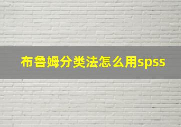 布鲁姆分类法怎么用spss