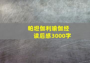 帕坦伽利瑜伽经读后感3000字