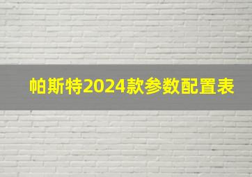 帕斯特2024款参数配置表