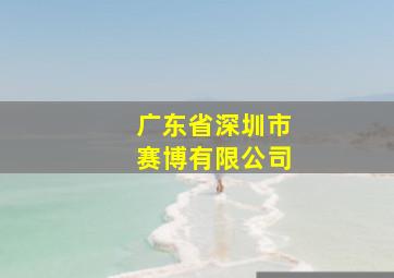 广东省深圳市赛博有限公司