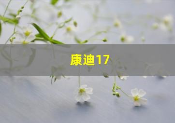 康迪17