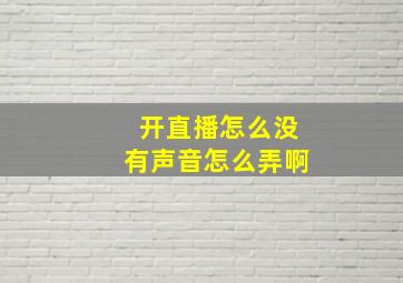 开直播怎么没有声音怎么弄啊