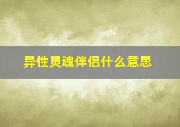 异性灵魂伴侣什么意思