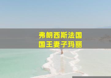 弗朗西斯法国国王妻子玛丽