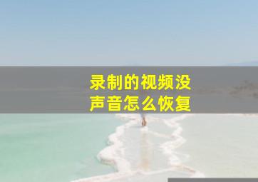 录制的视频没声音怎么恢复