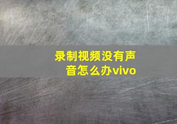 录制视频没有声音怎么办vivo