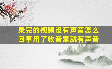 录完的视频没有声音怎么回事用了收音器就有声音