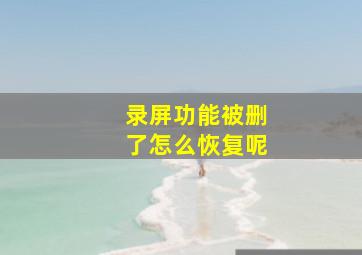 录屏功能被删了怎么恢复呢