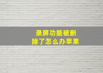 录屏功能被删除了怎么办苹果