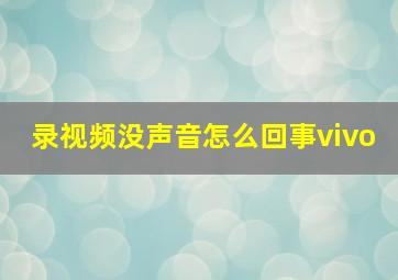 录视频没声音怎么回事vivo