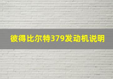 彼得比尔特379发动机说明