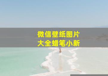 微信壁纸图片大全蜡笔小新