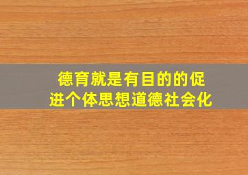 德育就是有目的的促进个体思想道德社会化